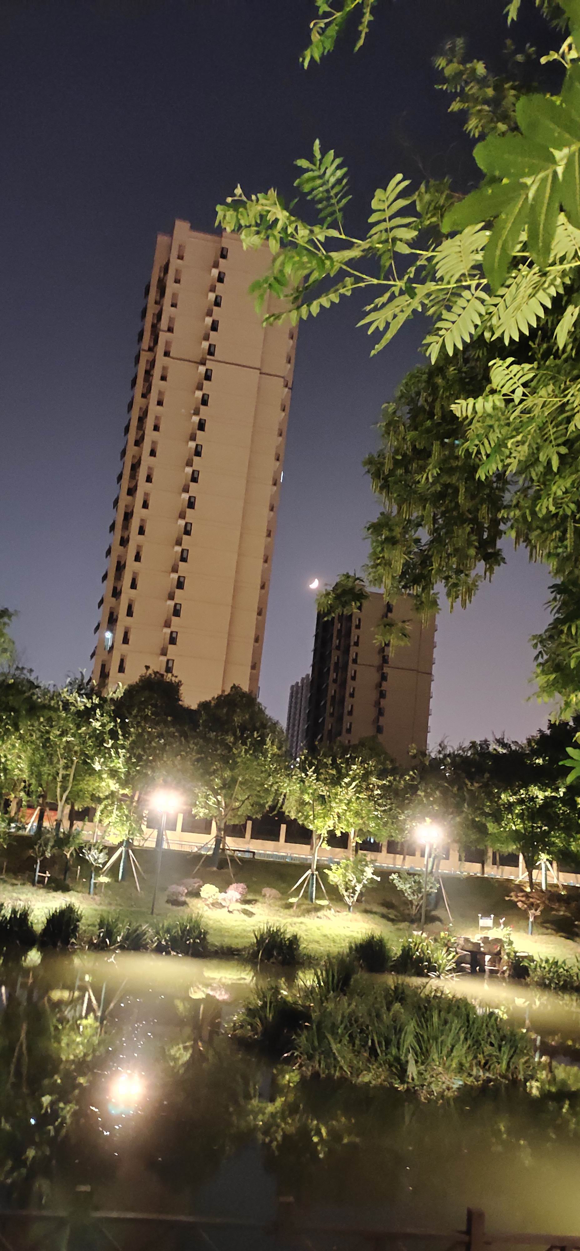 仲夏夜色 （郑彦芹）
