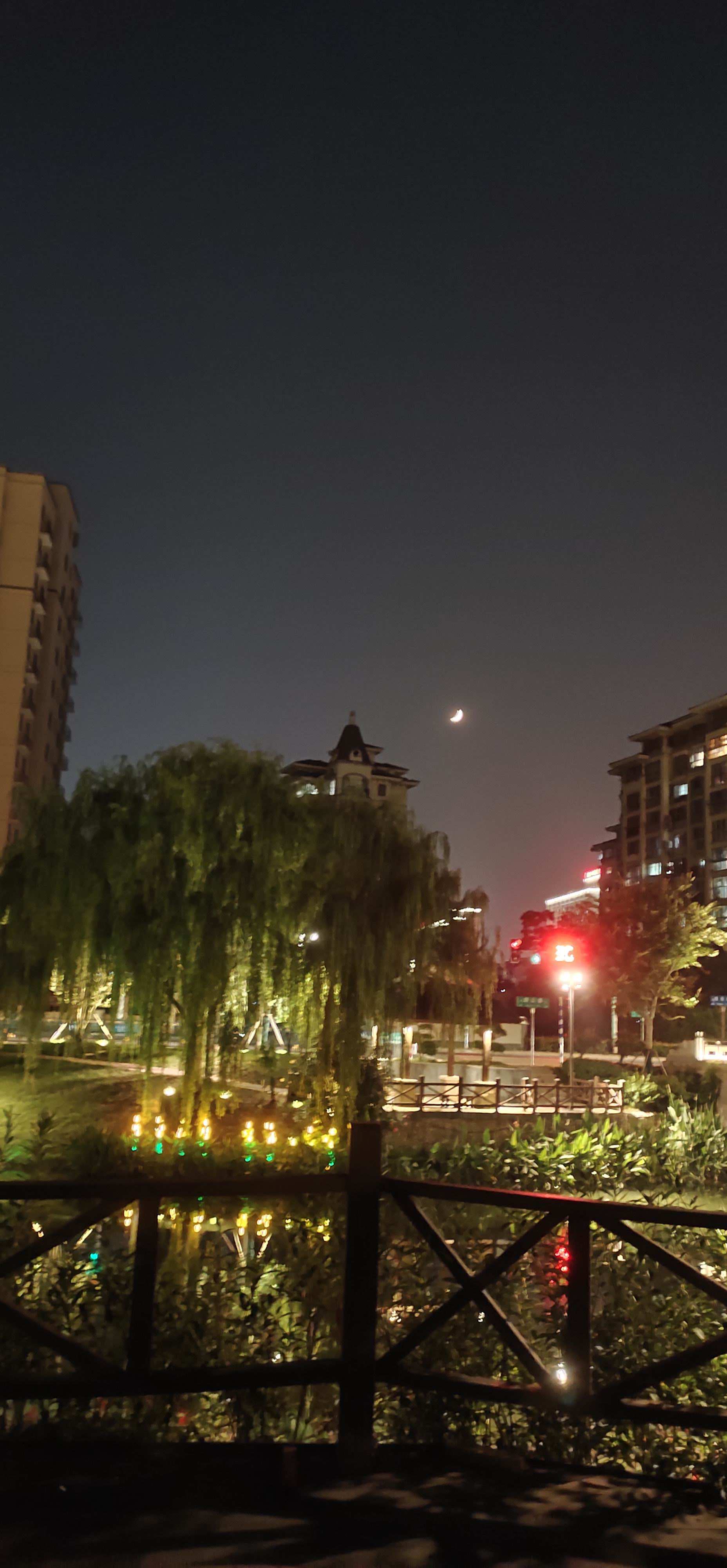 仲夏夜色 （郑彦芹）